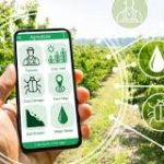 Smart Farming Mikro Bercocok Tanam Lewat Dashboard HP