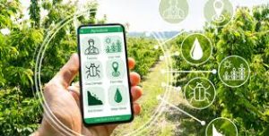Smart Farming Mikro Bercocok Tanam Lewat Dashboard HP