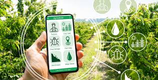 Smart Farming Mikro Bercocok Tanam Lewat Dashboard HP