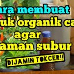 Pupuk Nano Cair, Bikin Tanaman Subur Tanpa Boros