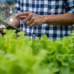 IoT Pertanian, Solusi Kekurangan Tenaga Kerja di Desa